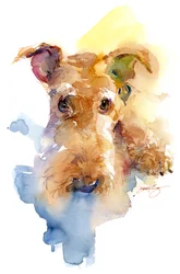 Ritratto di Dexter, 2015